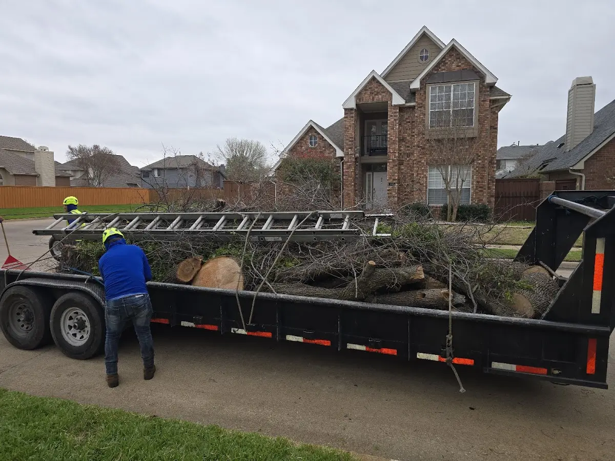 Expert Lot Clearing with proper safety equipment in Pierce City